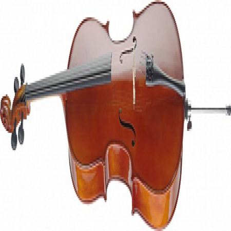 ВИОЛОНЧЕЛЬ STAGG VNC-1/2