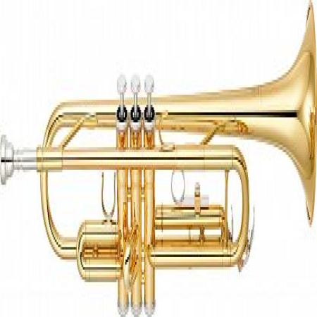 Труба Yamaha YTR-3335